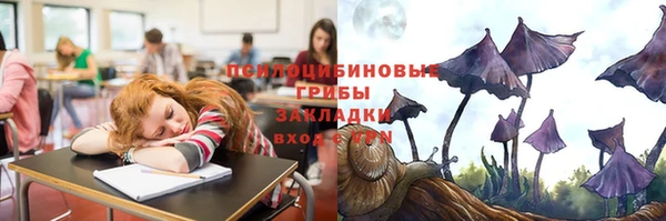 прущий лед Аркадак