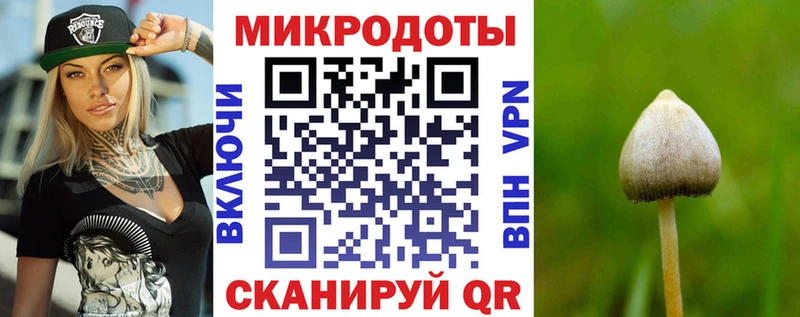 OMG ссылки дарк нет клад Псилоцибиновые грибы Cubensis Новочеркасск
